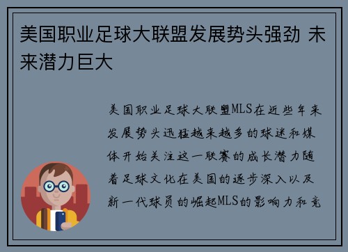 美国职业足球大联盟发展势头强劲 未来潜力巨大